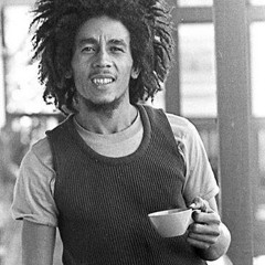 Rock it - Bob Marley (future jungle sunshine bizness)FreeDL