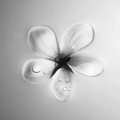 Jhon Legend - All of me