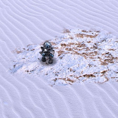 Bloom: Memories - White desert