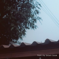 From my brown book / จาง
