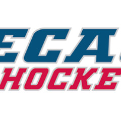 ECAC Hockey - Quinnipiac Roesler