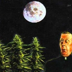 Arachnoid - Salta & Sug (The Kristet Utseende cover)