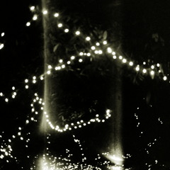 Through A Glass, Darkly