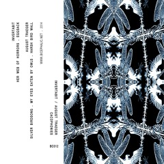 August Traeger - Harsh Bird Wall