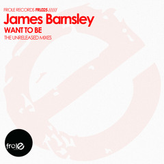 James Barnsley - Want To Be (Chez Damier Main Mix)