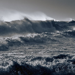Selvagens À Procura De Lei - Mar Fechado (solo Cover)
