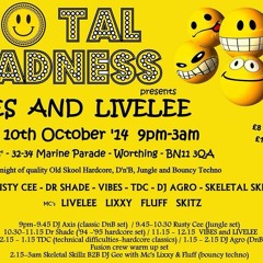 Dr Shade & MC Fluff - Vibes & MC Livelee @ Total Madness 10 - 10 - 14 Mastered MP3
