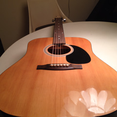 Johnson JG-620-N guitar