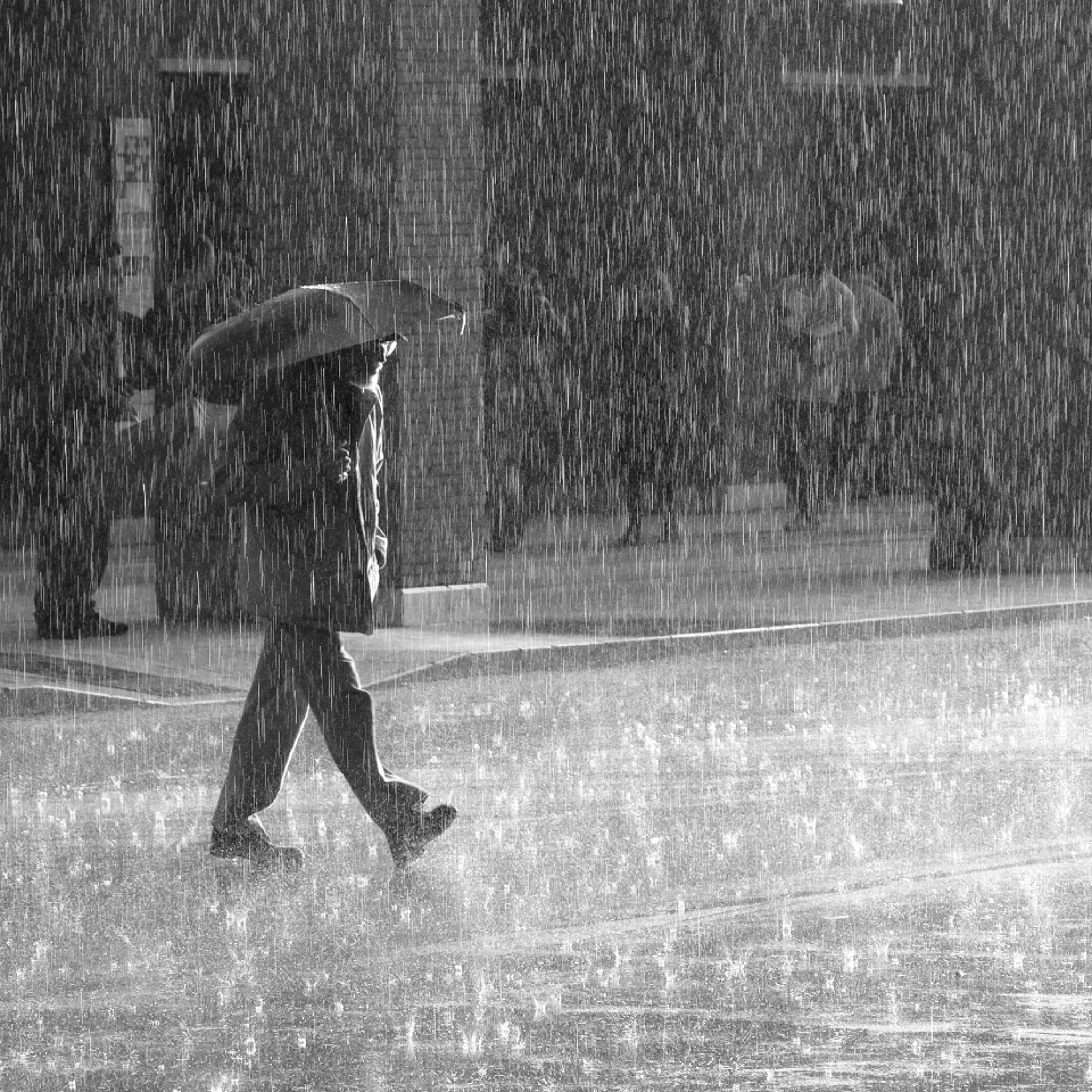 November Rain (solo 1) episode artwork