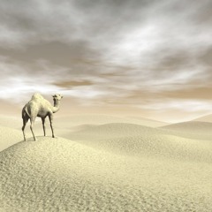 نشيد روعة Եիծբ