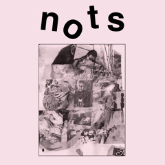 Nots "Reactor" // 'We Are Nots' Out Now On Goner Records