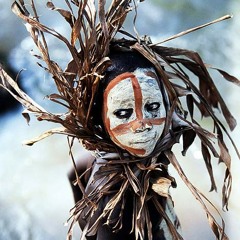Dimson-  From Africa to India