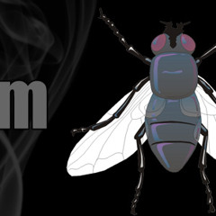 Fly Feat. Mr. Jig J-Star & Hangtyme (Produced by J5 for J5 productions)