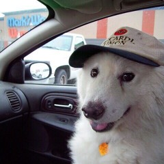 Family River (cover)