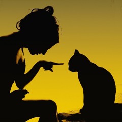 Disconnected - live@TheLivingRoom