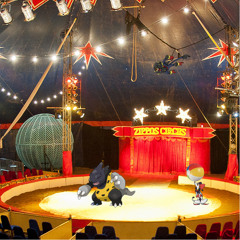 Shadini's Gym Overworld