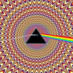 DUB5IPLES=Pink Floyd Mash Up