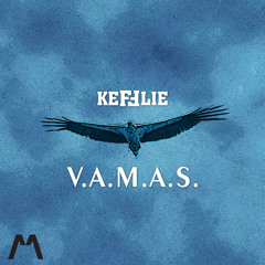 V.A.M.A.S (Original Mix) [Available 03 November 2014]