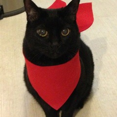 Enganchado Cumbia Turra - Alan Mendoza [EGMIX]