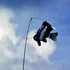 S.A.T. & Lazyfish: EasyЛистening (live improvisation)