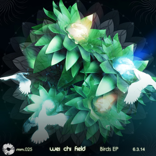Night Visions - Birds