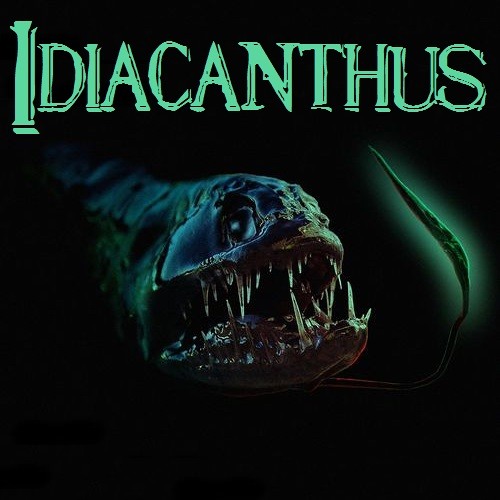 Silyfirst - Idiacanthus