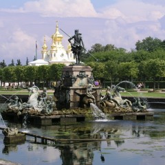 Out of the woods - jim Rutherford