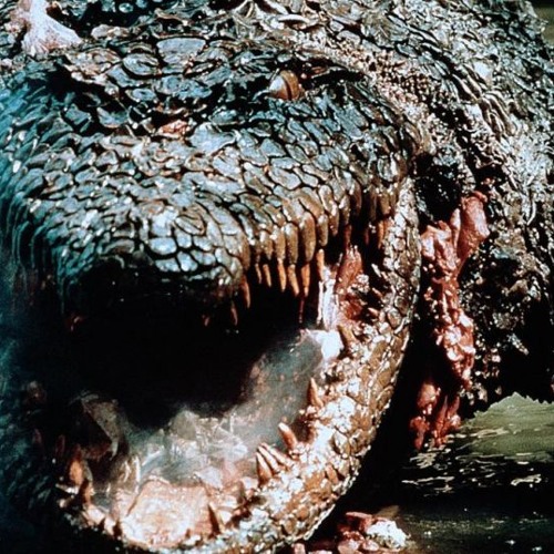 Alligatorstep (Original Mix)