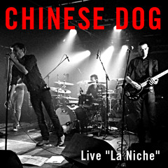 Born In A Trailer Live