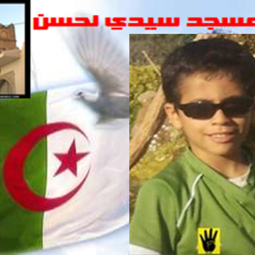 تنبهوا يا رقود محمد أمين الترمذي