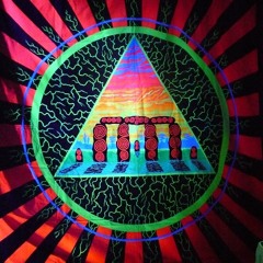 The Time Of The Shrooms Is Upon Us Again