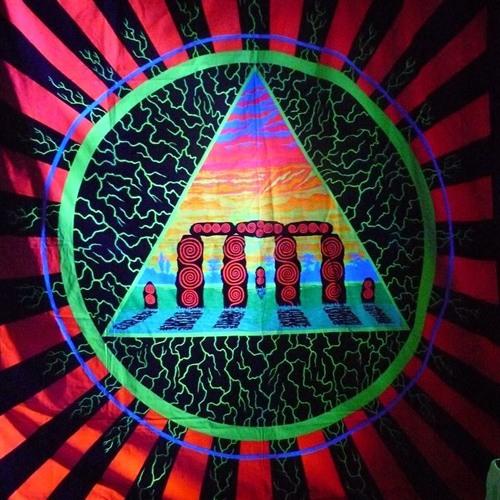 The Time Of The Shrooms Is Upon Us Again
