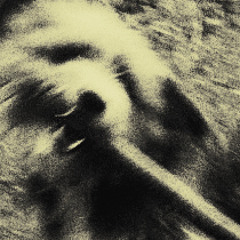 Why They Hide Their Bodies Under My Garage