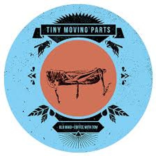 Tiny Moving Parts - Along The Lakeside