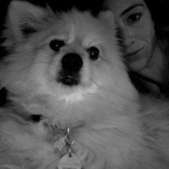 Basic BitCh/Coppola Demo