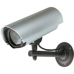 Theoretical Subterfuge