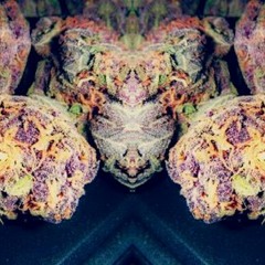 Loud - D. Rice Ft Younq Swavey