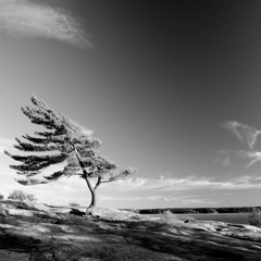 Simple Breath Exploration