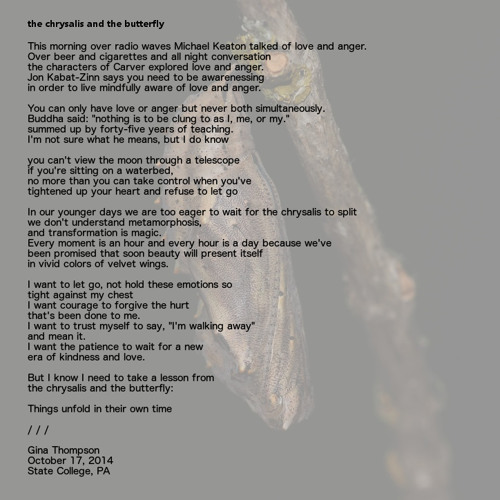 Stream [POEM] the chrysalis and the butterfly by Gina Marie Thompson