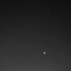 Abelone nuits te nommer