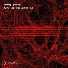 Tommy Young - Parallel Univers