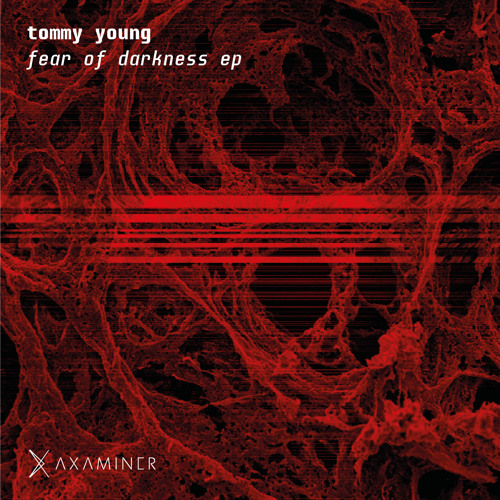 Tommy Young - Parallel Univers