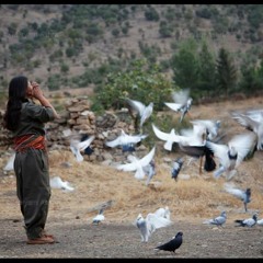 Stranên Gerila 20 AWAZE ÇİYA - ORAMAR - YouTube