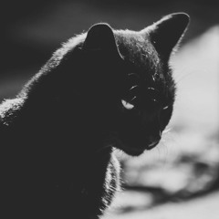 -Disculpe mi ignorancia- (Pragma Ceres,Inok,Asor,Dakbor,Dok,Freak,Blykodlaozkurror) @hodercbeats