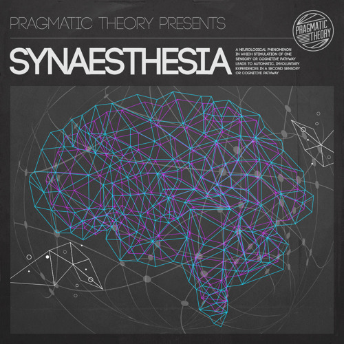 CHECK YOUR HEAD - for Pragmatic Theory's - SYNAESTHESIA
