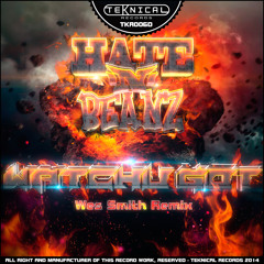Hate N Beanz - Watchu Got (Wes Smith's Califunkya Remix)