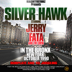 SILVER HAWK IN THE BRONX.OCTOBER 90