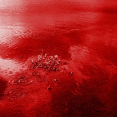 Surfin' Blood (Slayer cover)