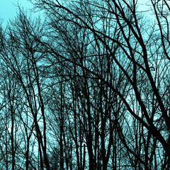 You And I Both cover