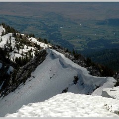 FIELDNOTES: I report on difference between SOUTH- & NORTH-facing slope
